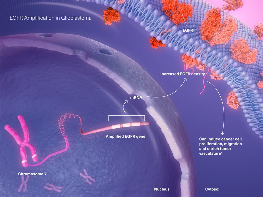 Biomarker Pathways